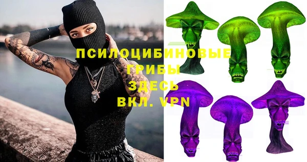 стаф Михайлов